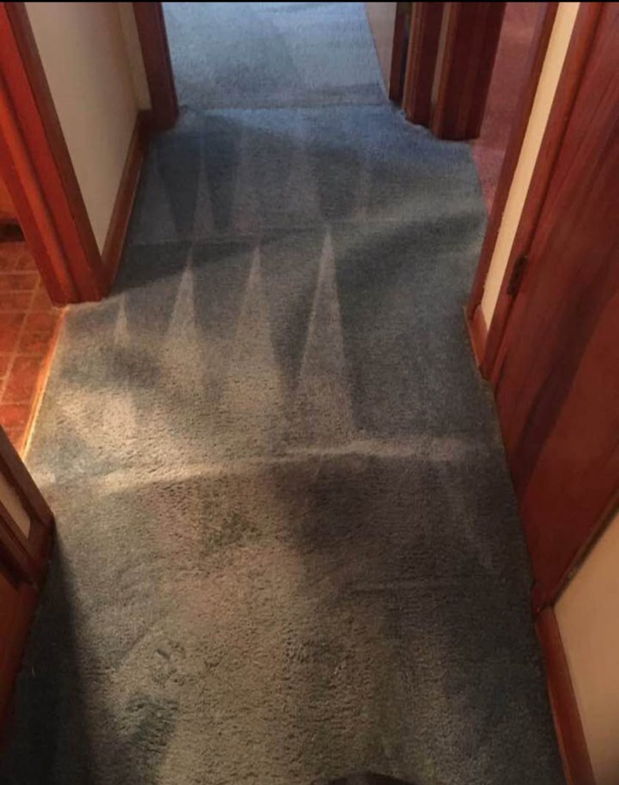 Deep cleaned hallway carpet with crisp rake pattern