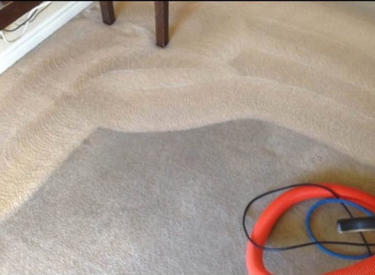 Carpet cleaning showing dramatic before and after color difference